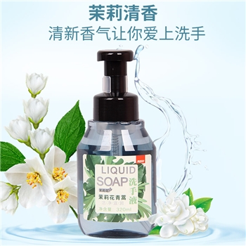 两面针泡沫洗手液320ml，48瓶/箱