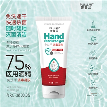 飞杰 普鲁兰60毫升免洗手消毒凝胶 300支/箱