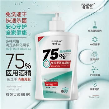 飞杰 普鲁兰500毫升免洗手消毒凝胶 24瓶/箱